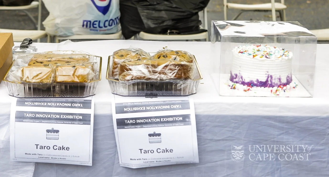 Taro Product Innovation Exhibition and Training Launched at UCC