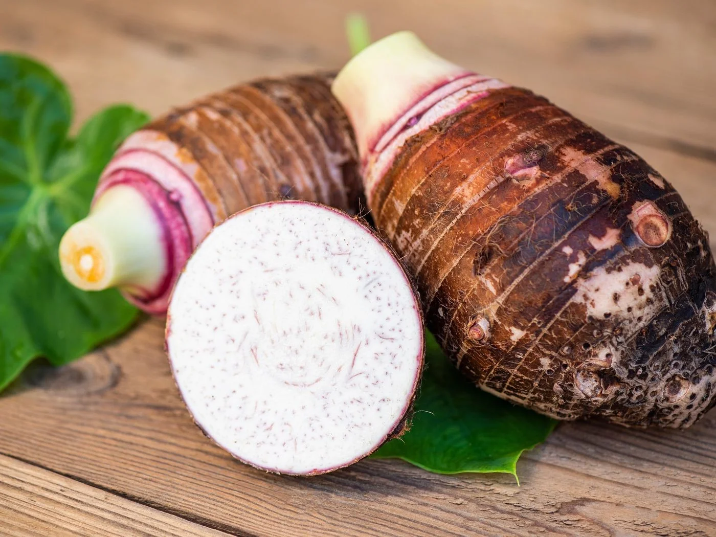Project to Revive Taro Production in Ghana Launched at UCC