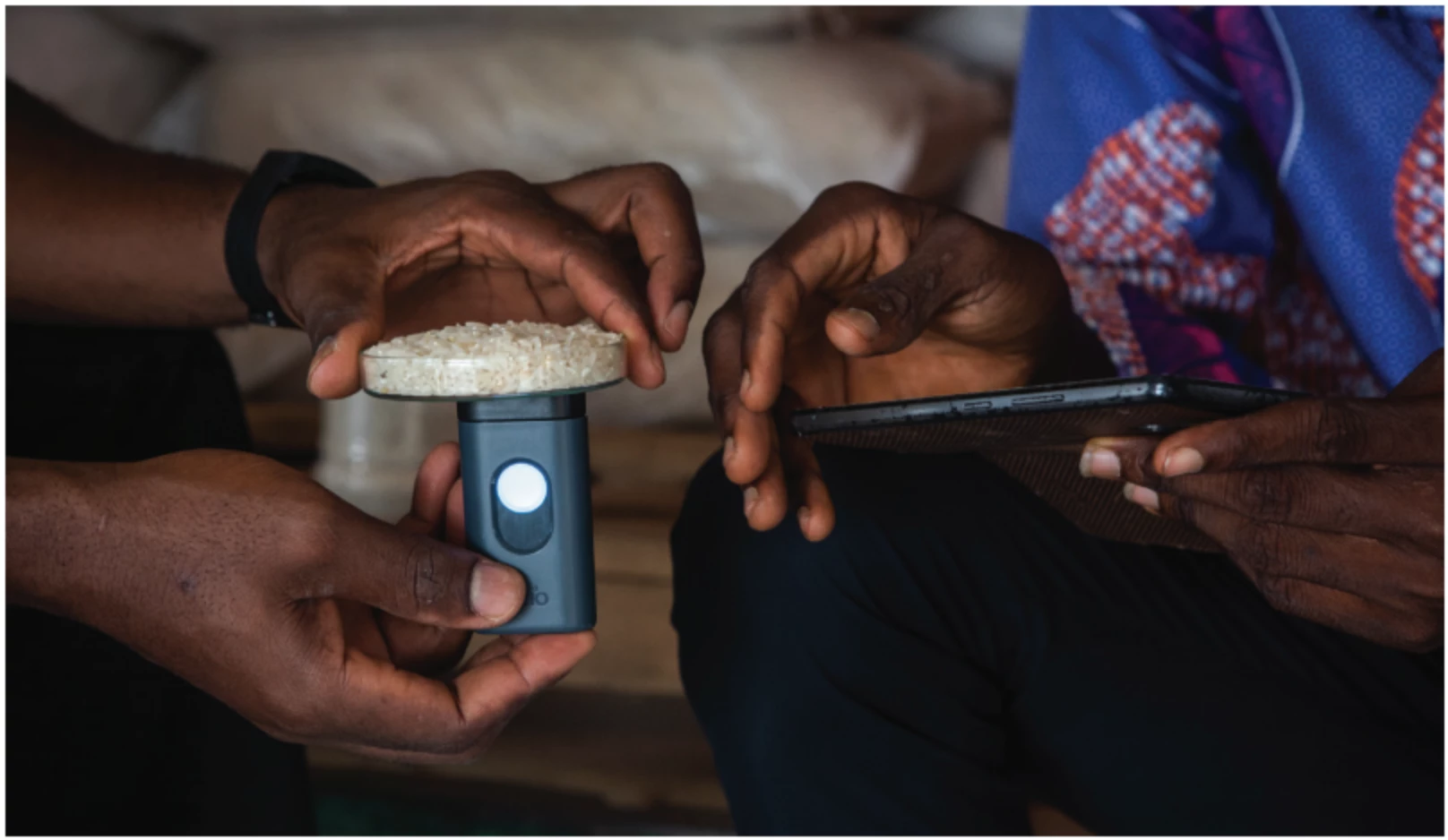 Fingerprinting Rice: Fighting Food Fraud, Saving Lives