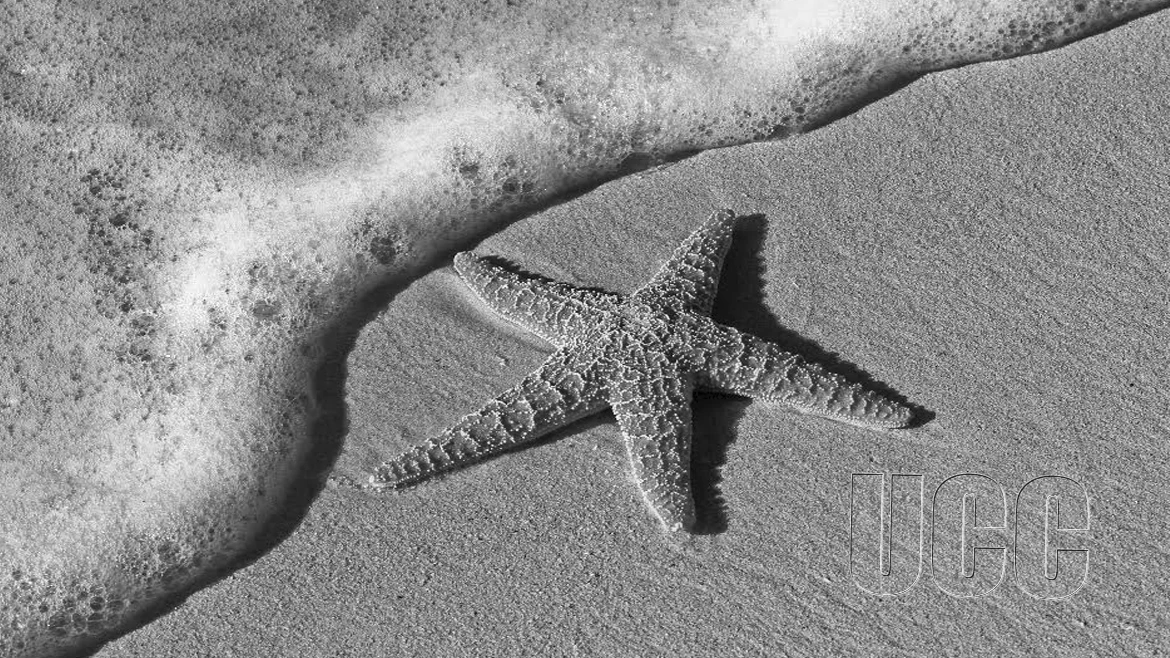 Campus Broadcasting Services Begins Transmission in an Ultra-Modern Building