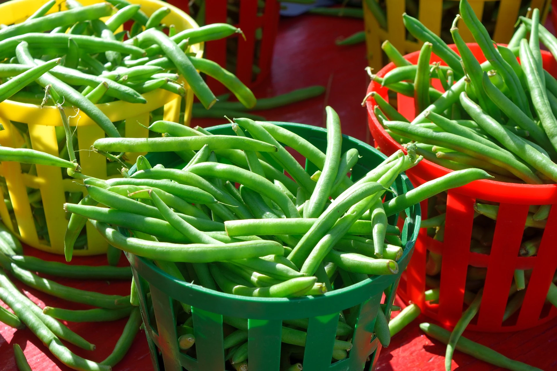 UCC Cowpea Gets Approval from NVRRC